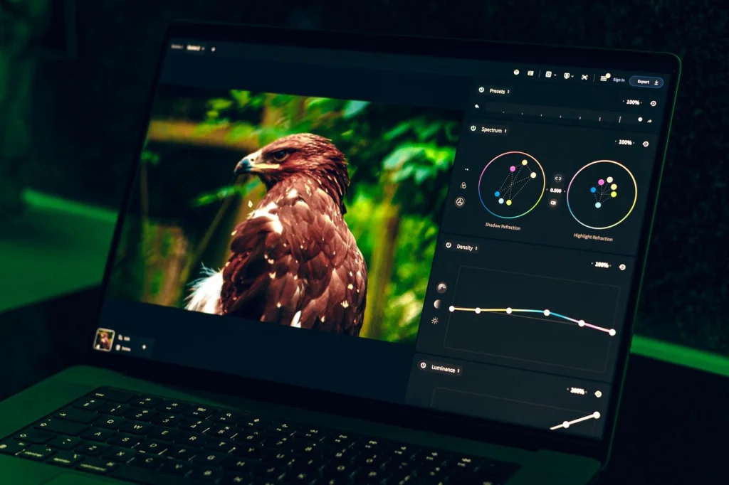 Laptop screen displaying Adobe Express interface with a product photo having its background removed, showing before and after comparison, person